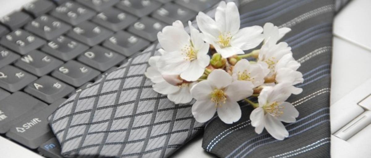 評価検証はエンジニアの入口。焦らず一歩ずつ成長できます。