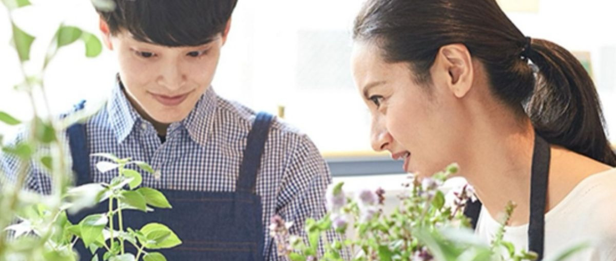 成長フェーズの花屋でのレンタルグリーン事業推進担当を募集します！