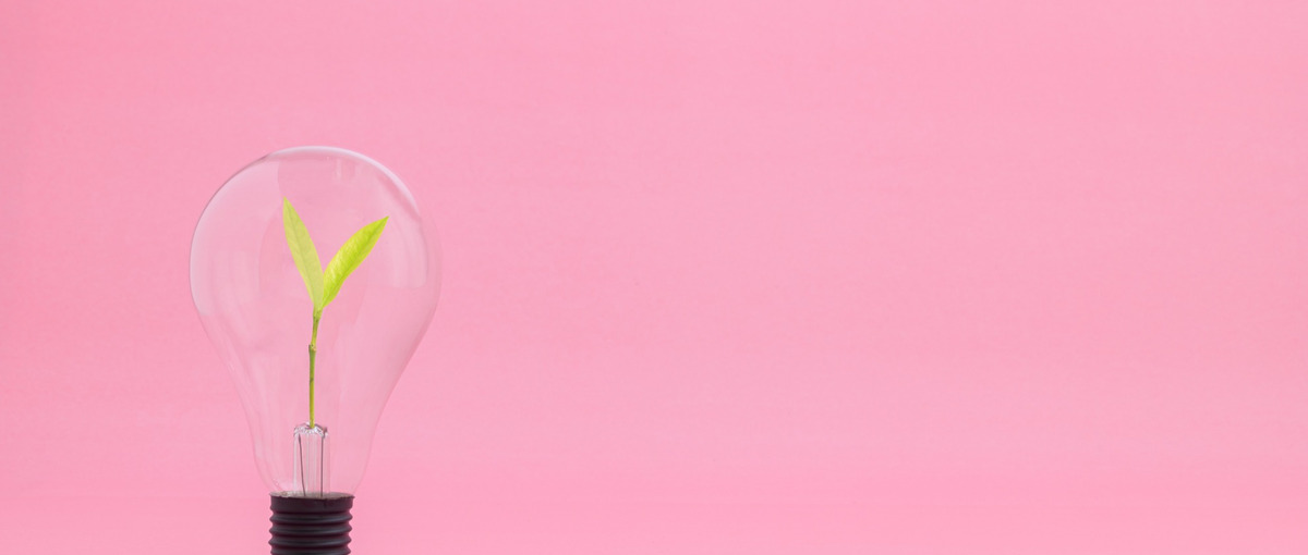 企画・運用・分析まで。SNSを活かすマーケティング職