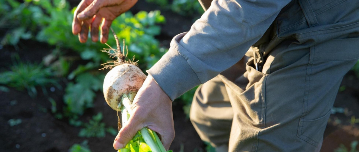 一次産業×ITで地方創生に貢献！産直ECのプロダクトマネージャー