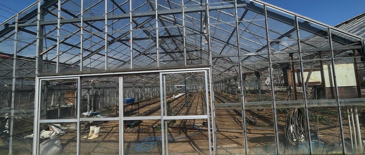 東大発アグリテック企業で農業やりませんか？農場長候補を募集！