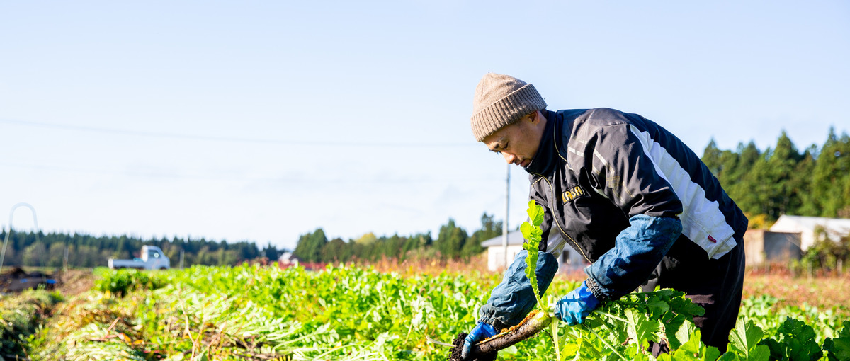全国OK｜食べる人と作る人をつなぐポケマルのプロダクト戦略を担うPdM募集