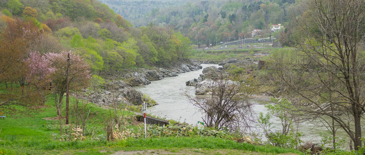 地方にDXを！希望の地方に移住し、地域を盛り上げるコミュニティマネジャー