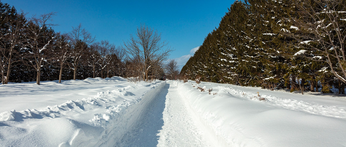 届けるより共に育てる。北海道からDAO的に共鳴を生む広報に挑戦しませんか？