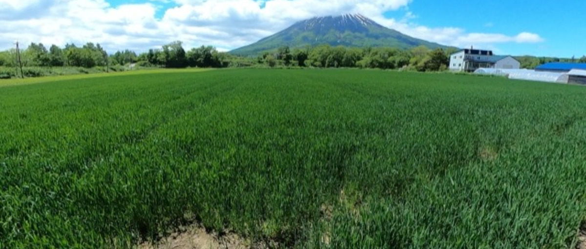 写真経験を活かして、人と人の関係性を自然あふれる地域で見つめ直すしごと