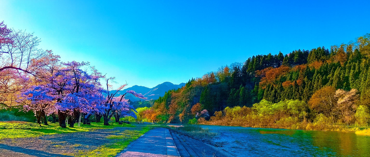 27卒｜全国50地域と連携、0から創る地域活性プロデューサー