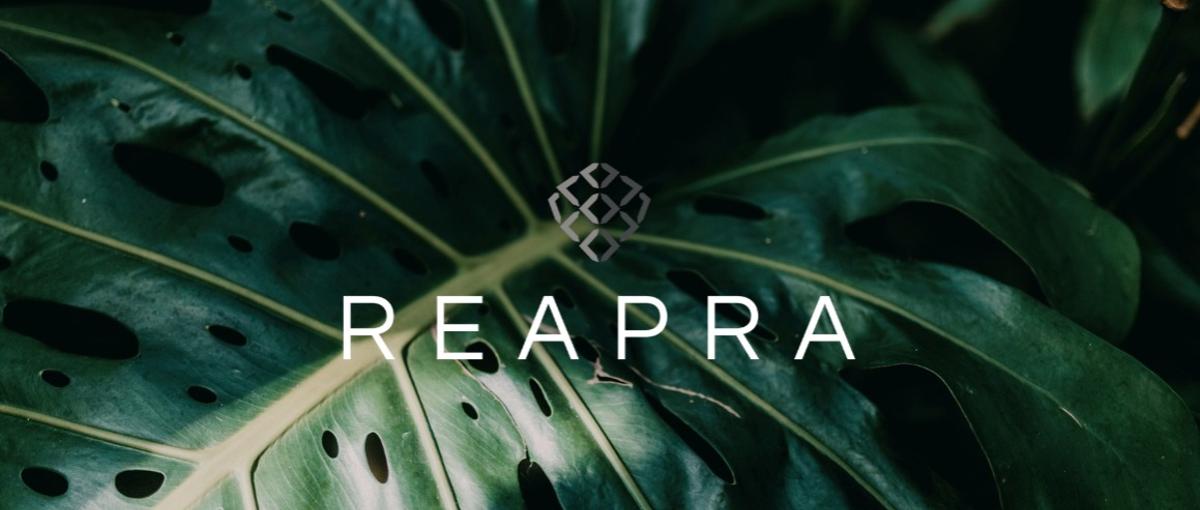 アートで夢破れた学生へ｜その絶望を原動力へ共に変えよう｜長期インターン募集