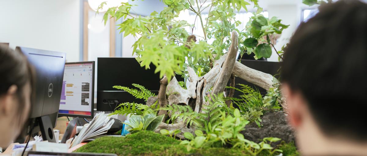 経営に近い現場で挑む福岡スタートアップのCRM募集