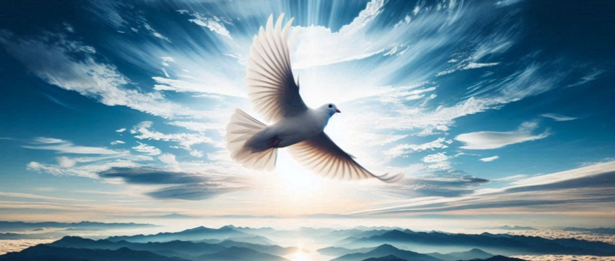 自分で働き方を決められる！Javaエンジニアを募集！