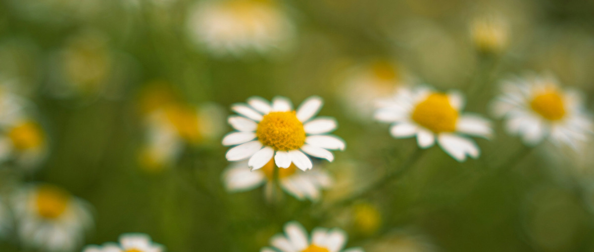 AI×不動産サービスのプロトタイプを本番化するPM募集｜SIer出身者歓迎