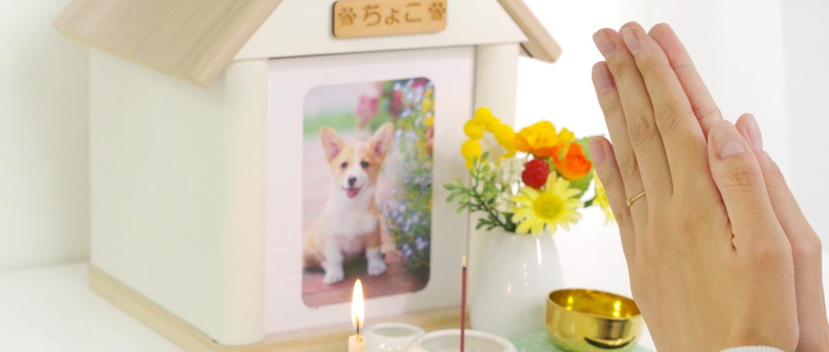 ありがとうが溢れる職場で、心に寄り添う供養のプロへ