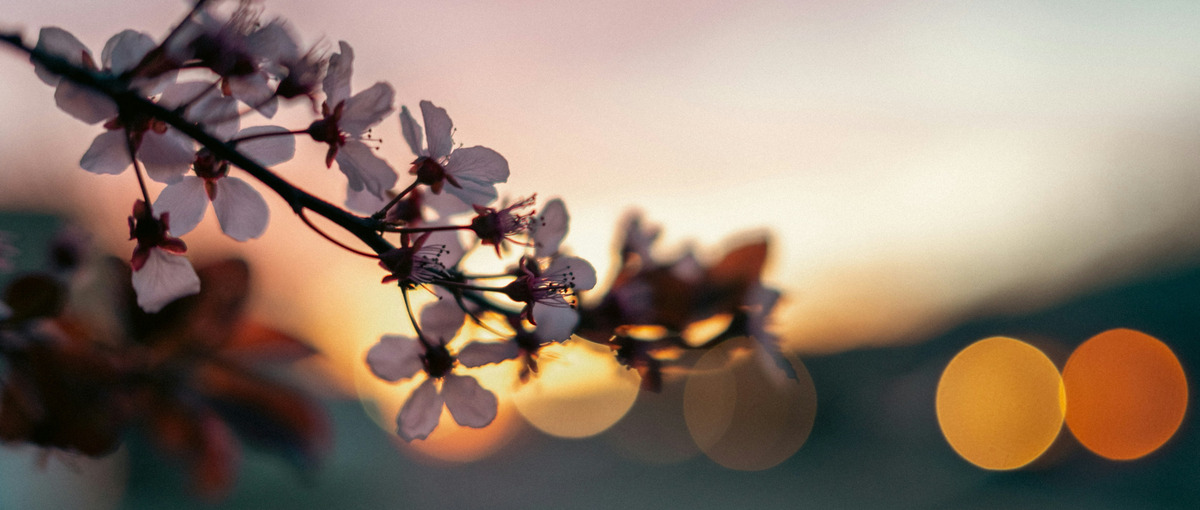 不動産×生成AI Forward Deployed Engineer募集！