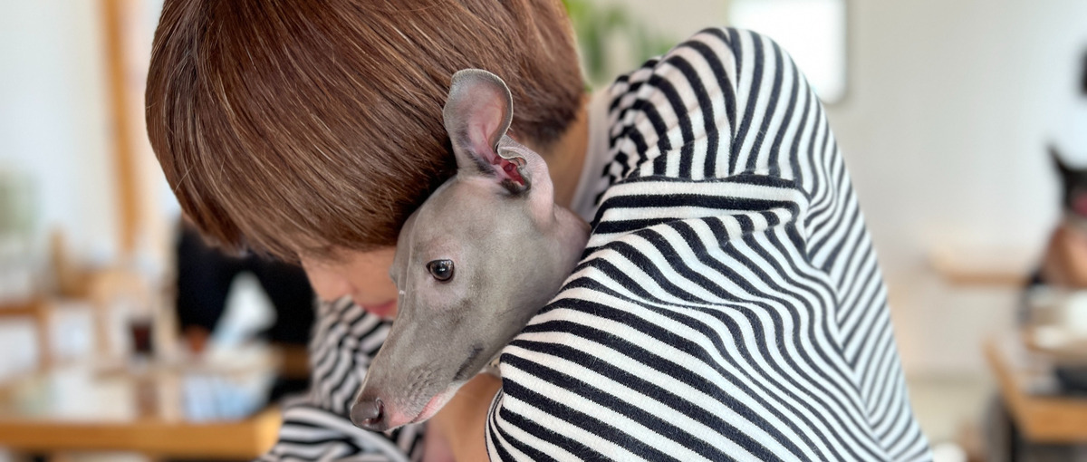 おうちでできるメール対応メインのカスタマーサポート！