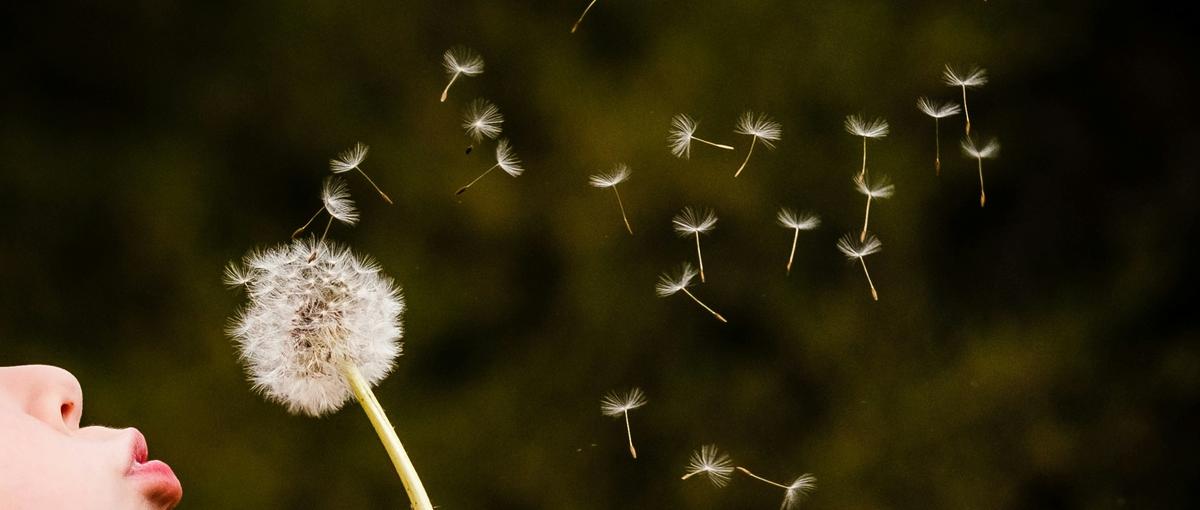 AIと挑み、形にし、成果を出す！新時代の実践型インターン生求む！