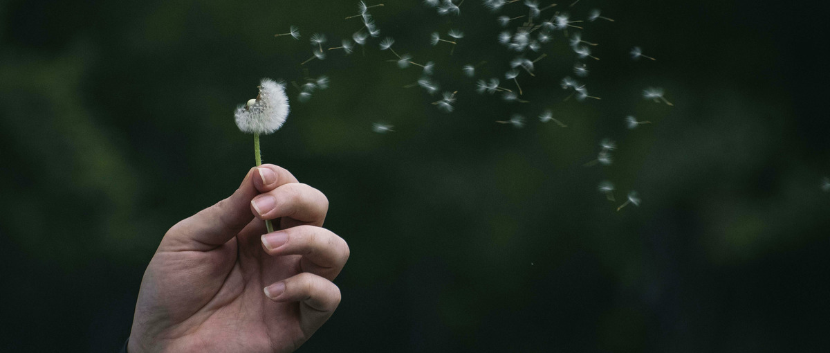 AIと挑み、形にし、成果を出す！新時代の実践型インターン生求む！