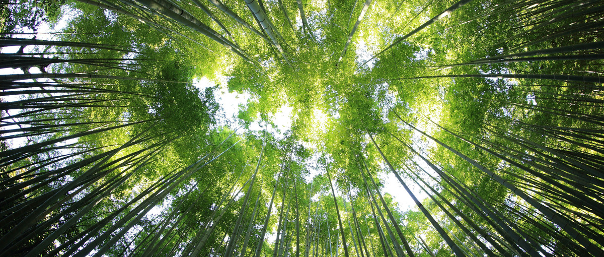 あなたもGPTマスターに！作って形にする成長型インターン！