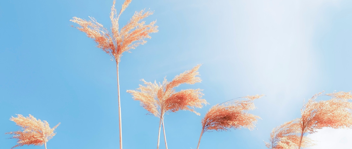 生成AI開発会社のGCPクラウドセキュリティエンジニア募集！