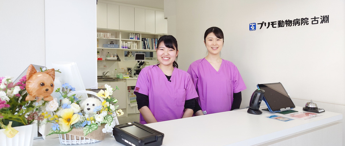 グループ動物病院で安定した成長をしたい新卒愛玩動物看護師募集！