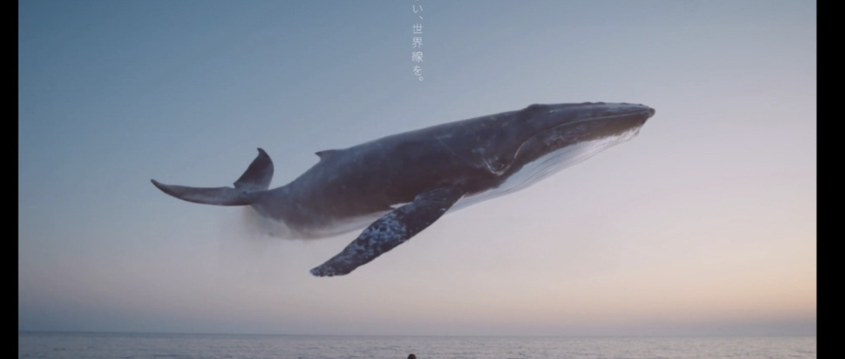 出張販売職！企画職へキャリアアップできるベストベンチャーやホワイト認定企業