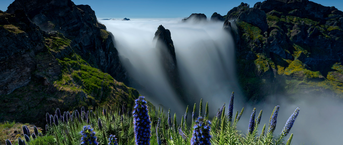 副業歓迎！ Azureクラウドセキュリティエンジニア募集！