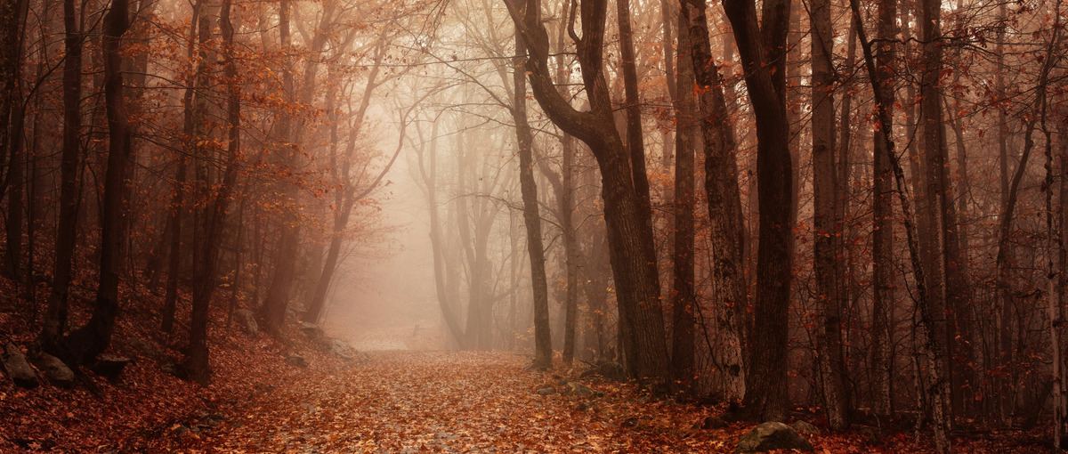 副業歓迎！AWS クラウドセキュリティエンジニア募集！