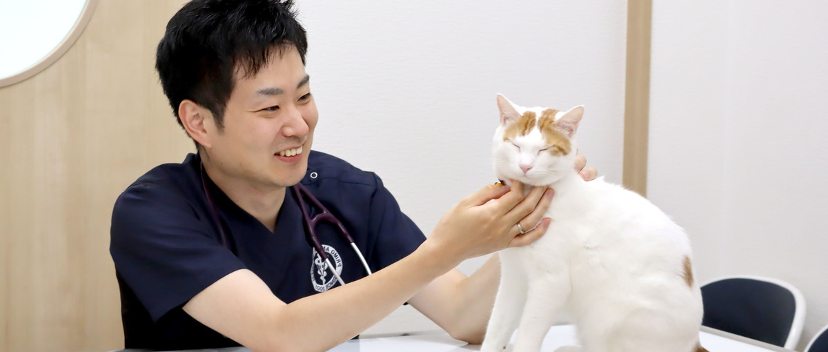 今よりももっとやさしく、強くなれる場所を探している獣医師を募集！