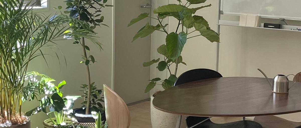 デザイナー募集