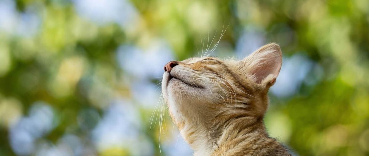 Excelスキルを活かす！マーケターを支えるアシスタント大募集！