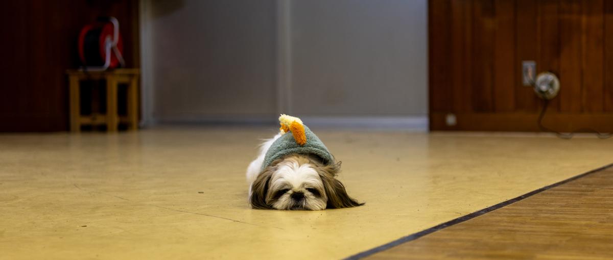 リモートでも距離を感じない。ちゃんと繋がってる開発チームで働きませんか？