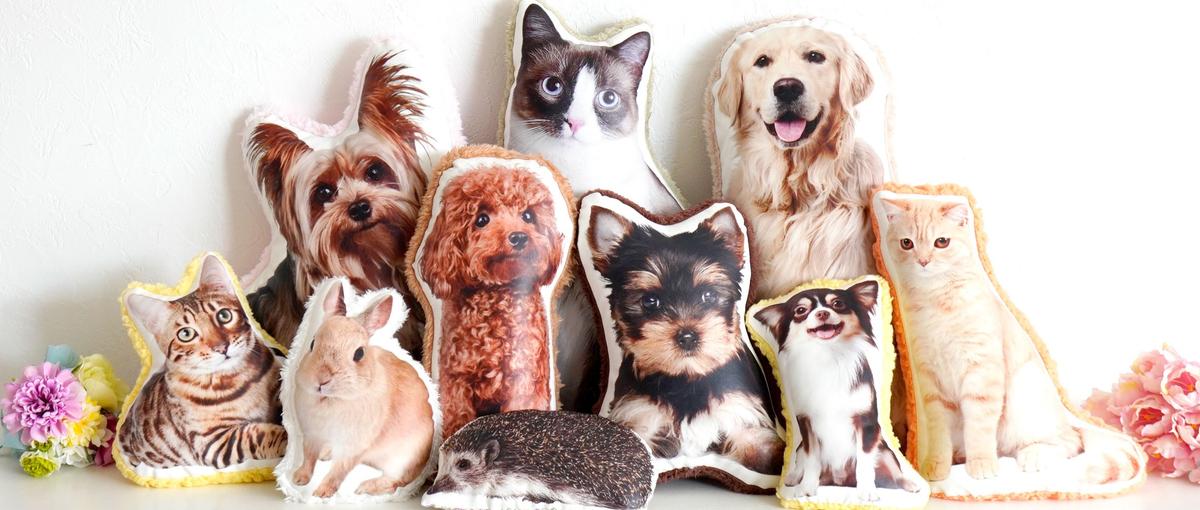 0→1人目　D2CWebマーケティング・企画担当募集！戦略立案～実行まで