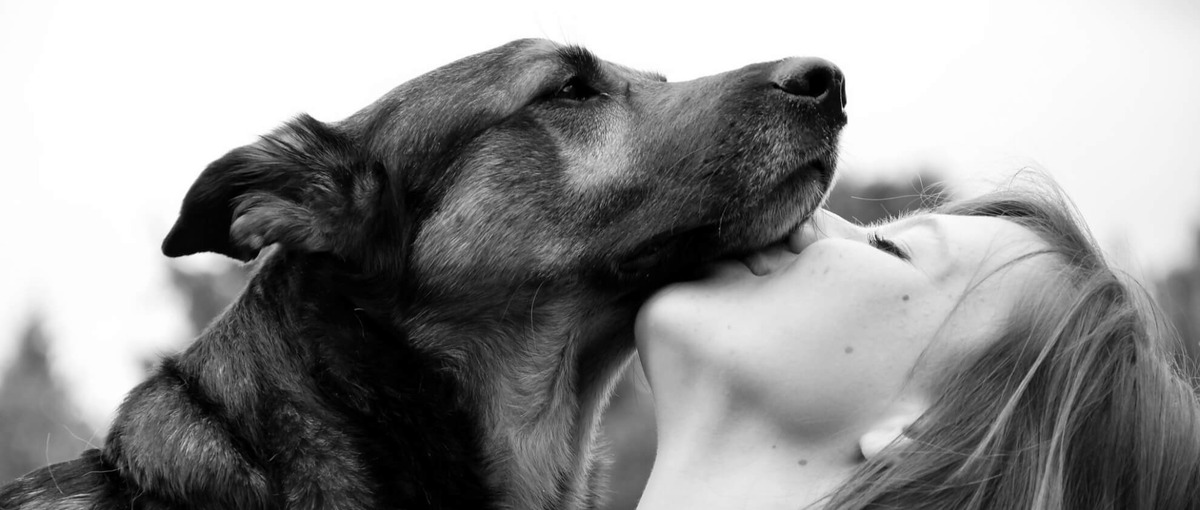 新規事業立ち上げポジション！経営視点でビジネスを推進する責任者候補大募集！