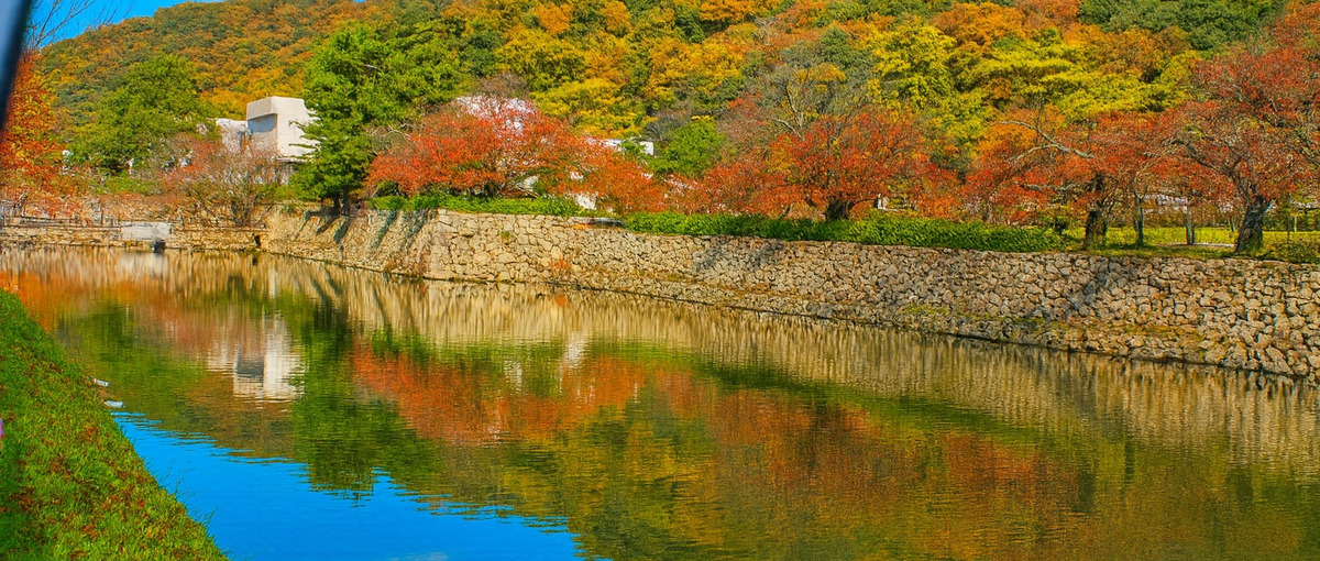 27卒募集！地域×経営50の街で価値創造に挑戦する事業企画リーダー