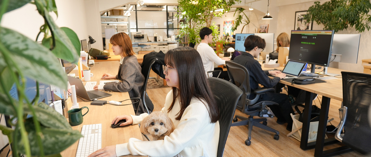 WEB広告運用者募集｜入社1年目から市場価値のあるマーケターに！