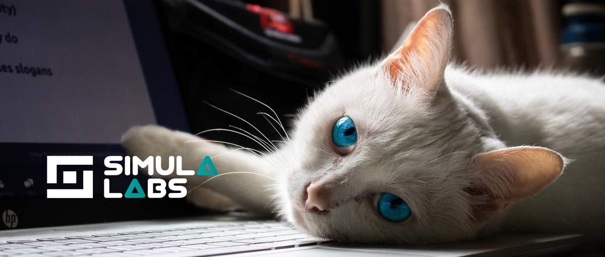 フロントエンジニア経験者求む！自社SaaS開発のReactエンジニア募集！