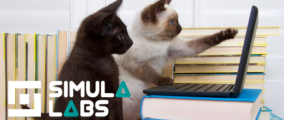 ポテンシャル採用 | エンジニアからPM目指している方募集！