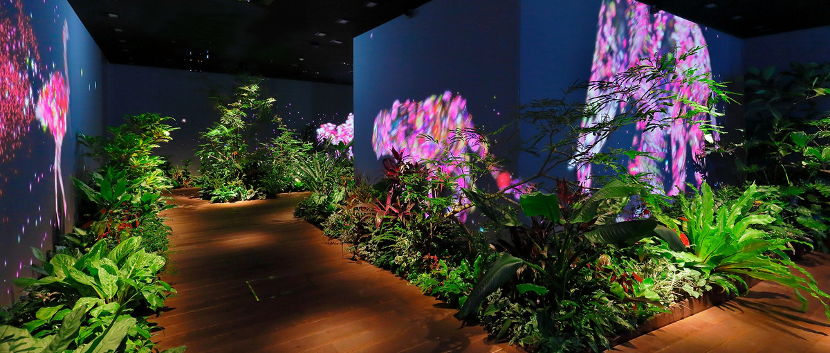 ソーシャルゲーム開発・運用におけるディレクターを募集！