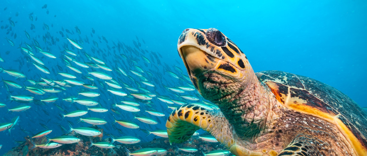 旅行者の新たな体験を創る！DX戦略を担う戦略コンサル直結インターン