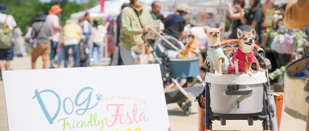 Webマーケティング✖️ドッグイベント企画運営で愛犬と愛犬家のQOLの向上