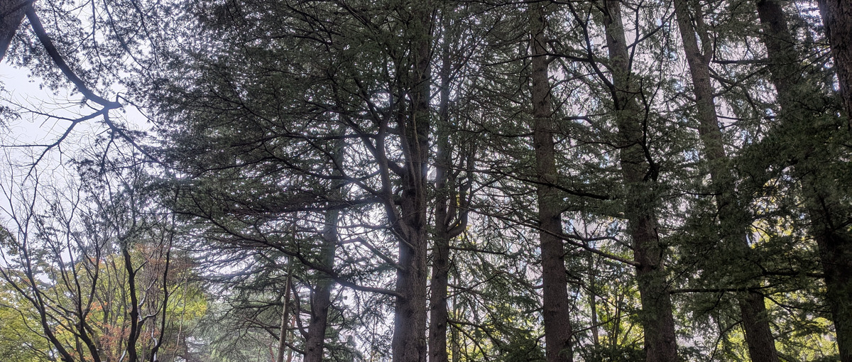 杜の都 仙台/キッティング業務/マニュアル有の安心スタート！/経験者歓迎！