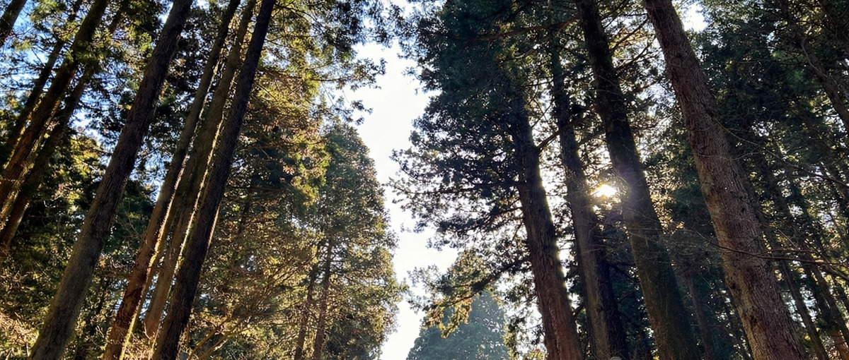 27卒｜全国50地域以上！0から事業を立ち上げる地域プロジェクト！