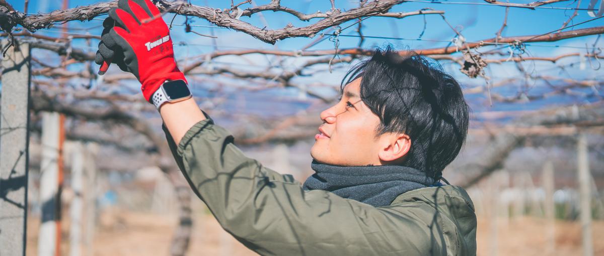 山梨大学すぐ隣！3ヶ月で営業のプロに！社会人基礎力が身に付く成長インターン