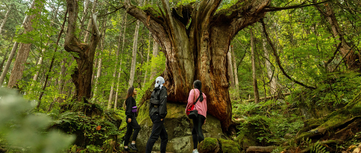 地域の文化や歴史を活かした新しい観光体験を企画したい方！