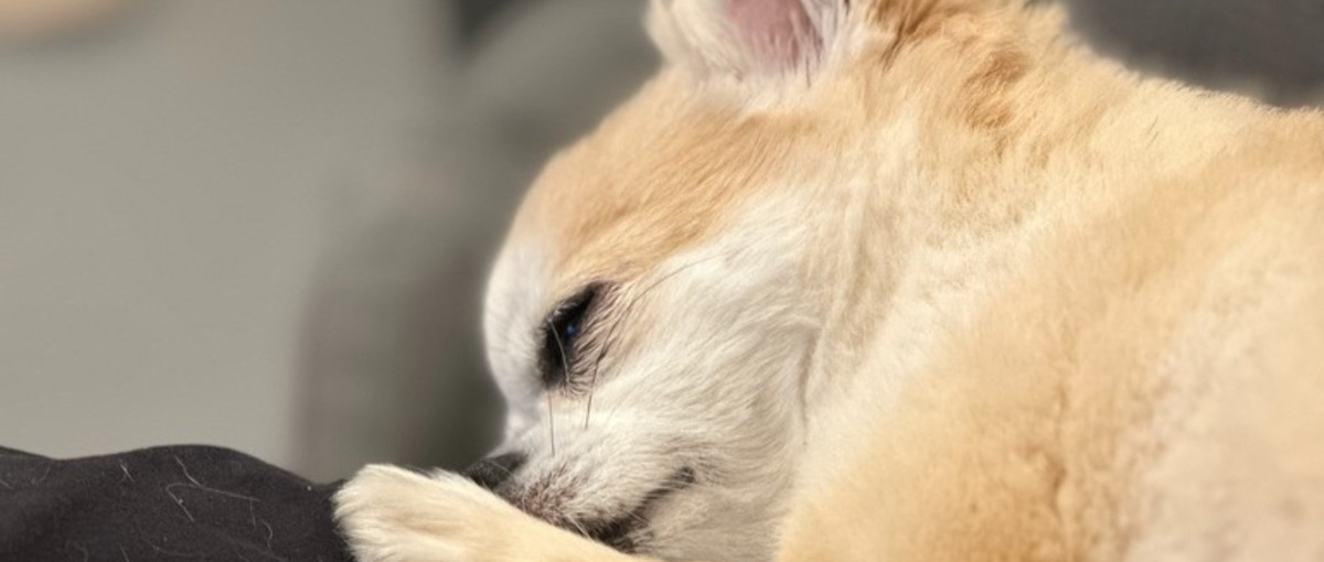  SNSで一緒にワクワクを広げませんか？好きな場所、好きな時間で大丈夫です