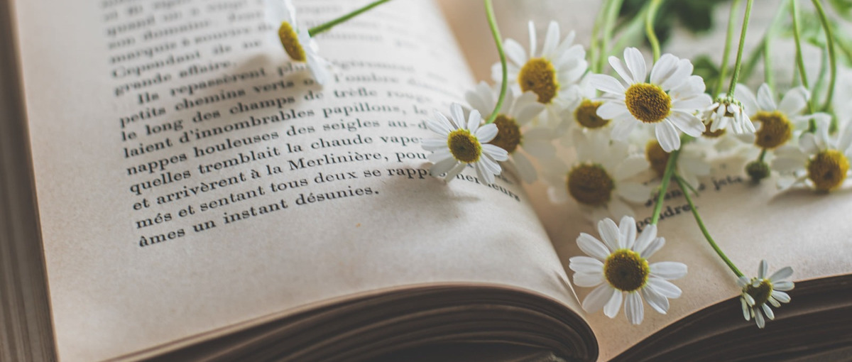 電子書籍事業を成長させるチカラを求めています！