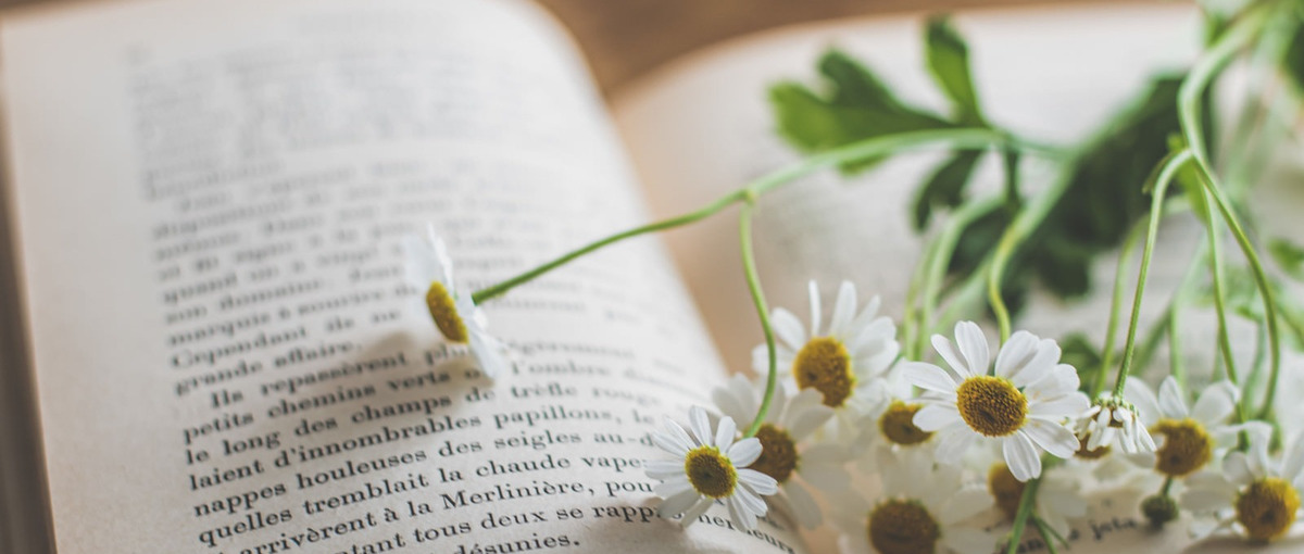 占い事業を成長させるチカラを求めています！