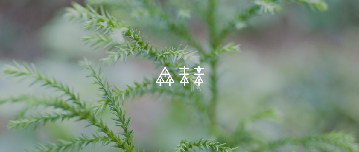 データとAIで木材産業の未来をつくる🌳エンジニア募集