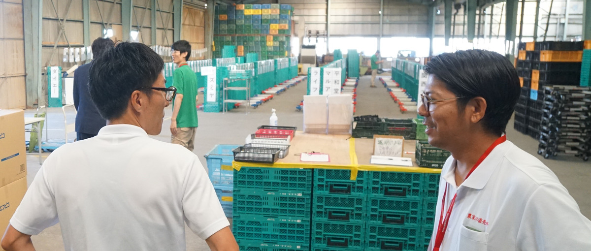 農産物の流通量・規格・価格をコーディネート！日本の食卓を支える集荷場運営