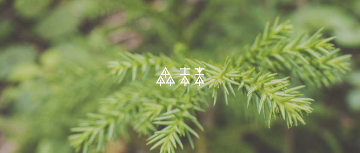 林業×AI🌲次の世代に豊かな森を残す！テックリード募集