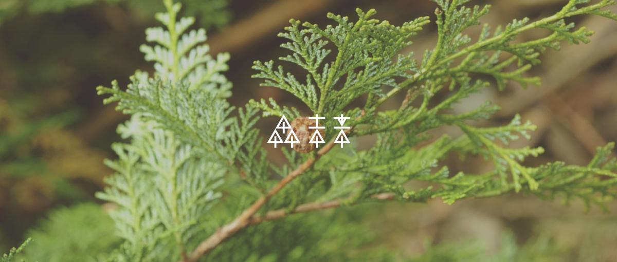 次世代に豊かな森を残す｜林業×AIで産業を変えるテックリード募集