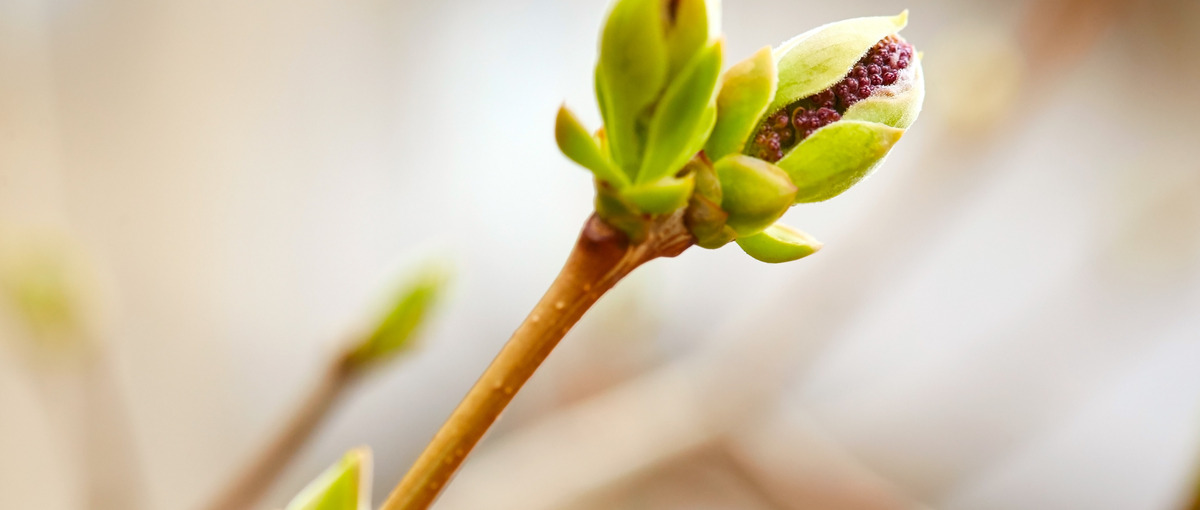 早期インターンで、ひと足先に社会と向き合う経験を